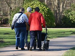 senioren m w gehen im park spazieren rollator gesundheitssystem fruehlingsanfang sonnenschein erholung im park von schloss borbeck in essen 03 03