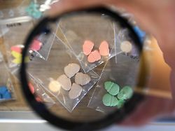 synthetische drogen werden am rande einer pressekonferenz im bundeskriminalamt bka praesentiert zu dpa anklage gegen mutmasslichen betreiber von drogen plattform dpa bildfunk