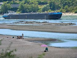 touristen entspannen sich auf einer sandbank im rhein nahe der loreley waehrend ein frachtschiff vorbeifaehrt