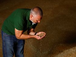 ukrainian farmer serhiy rybalko shows wheat grains inside a storage facility amid russia s attack on ukraine in zhytomyr region ukraine august 7 2026