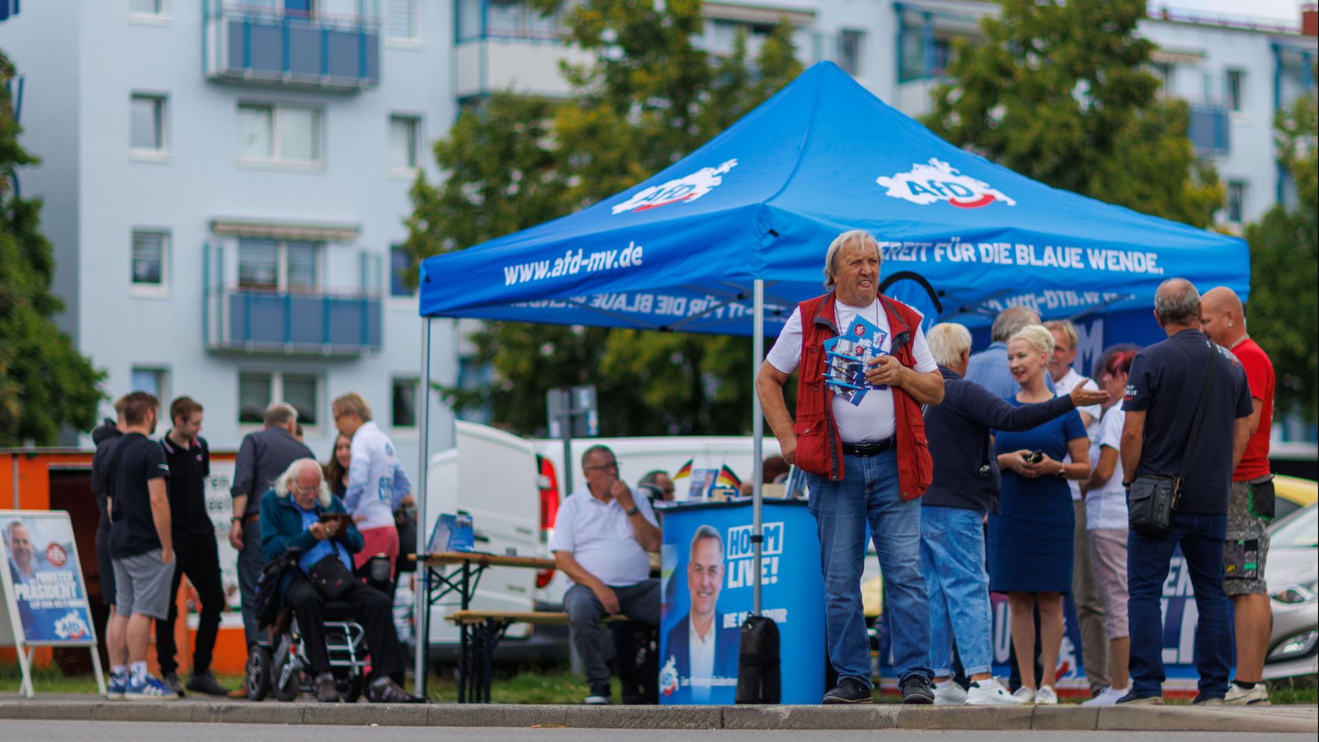 afd wahlkampf 118