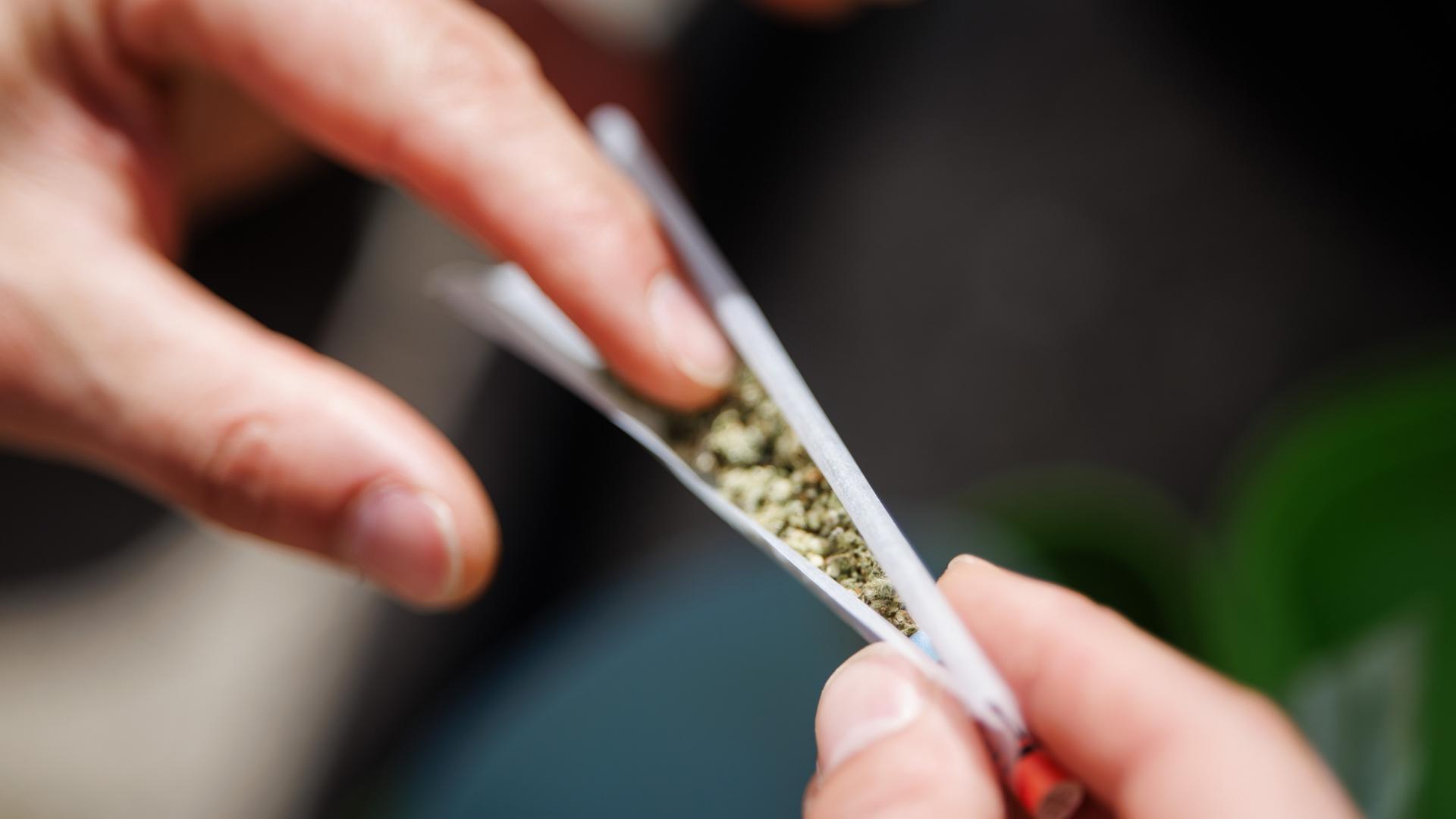 cannabis joint 110