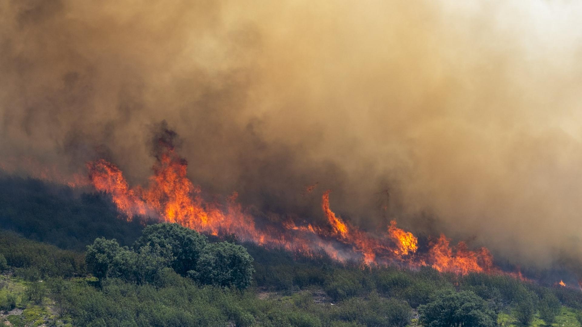 feuer spanien 114