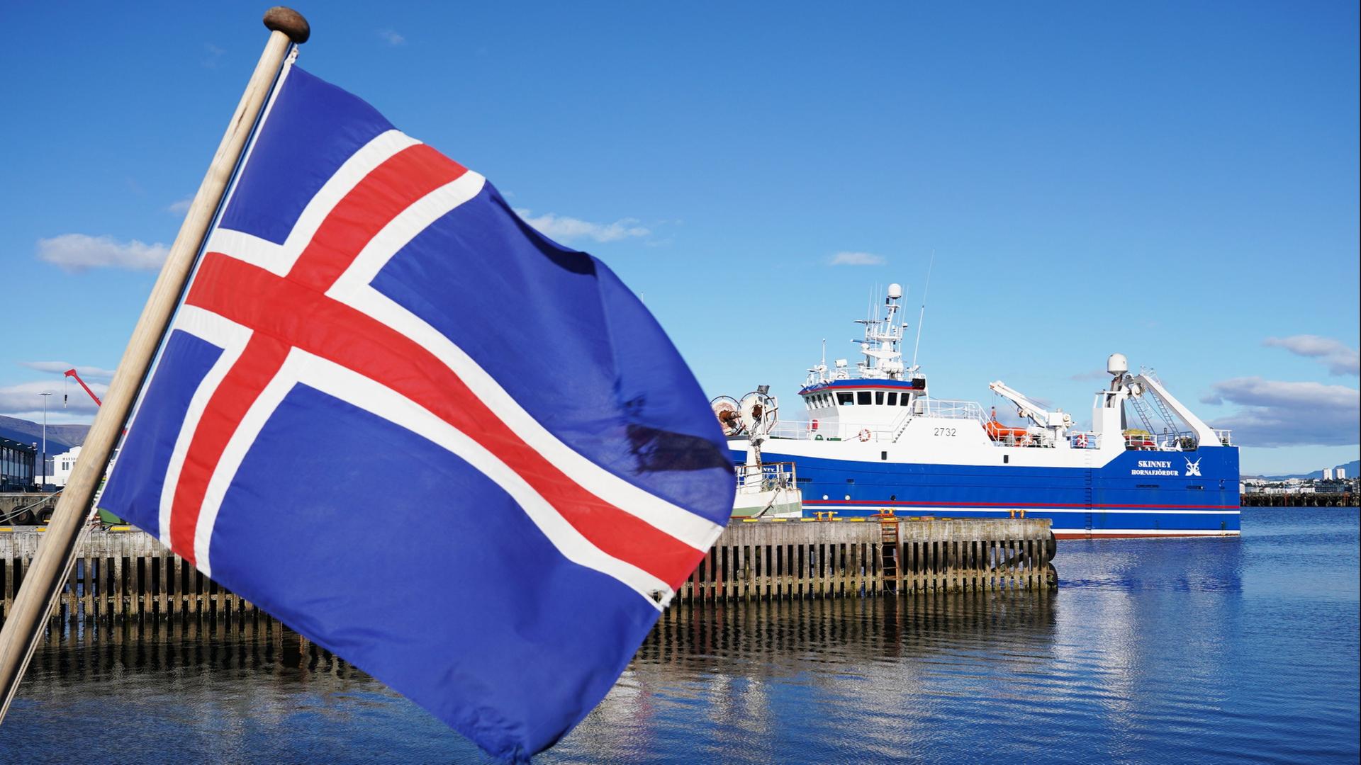 flagge island 100