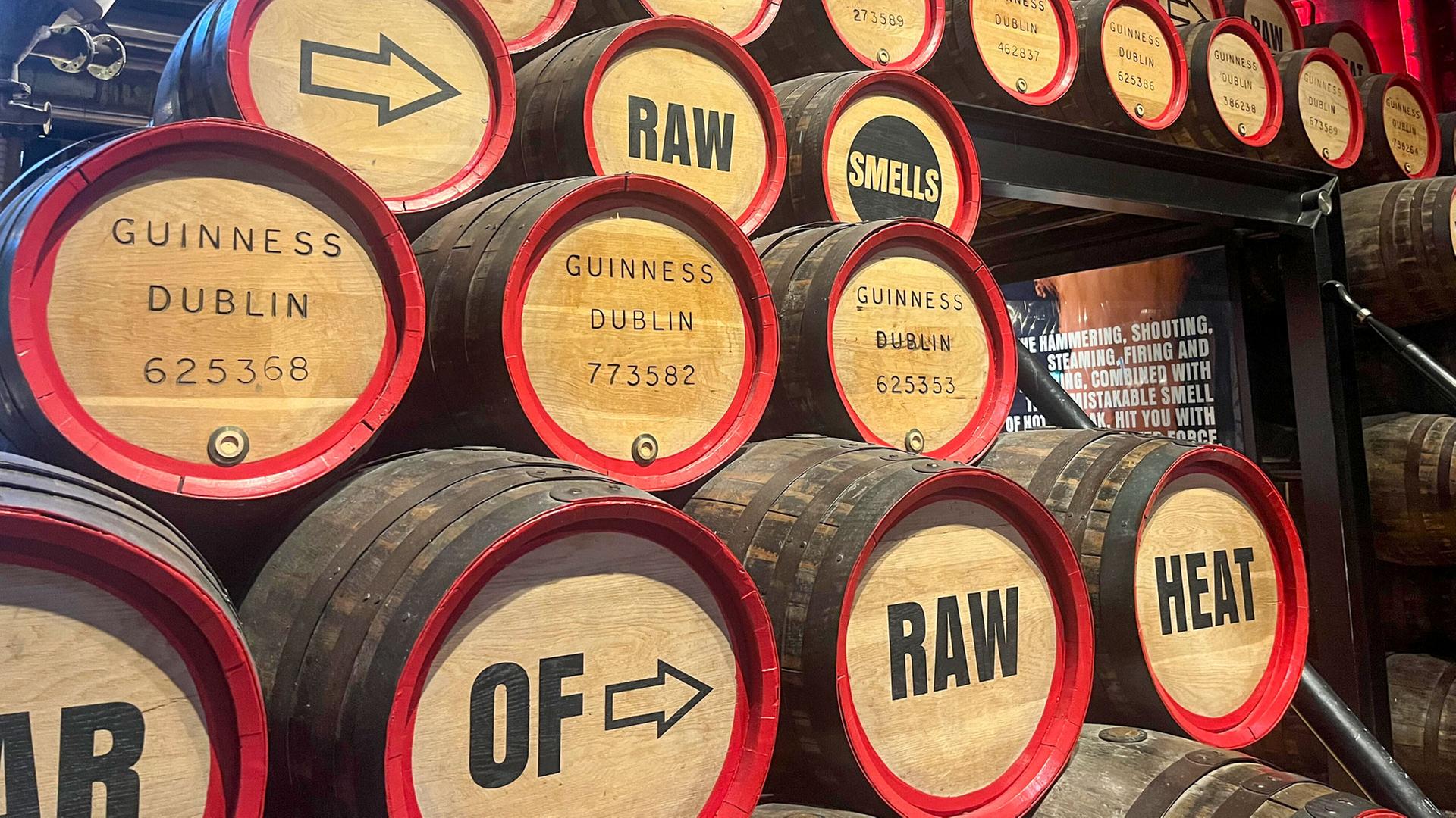 guinness 106