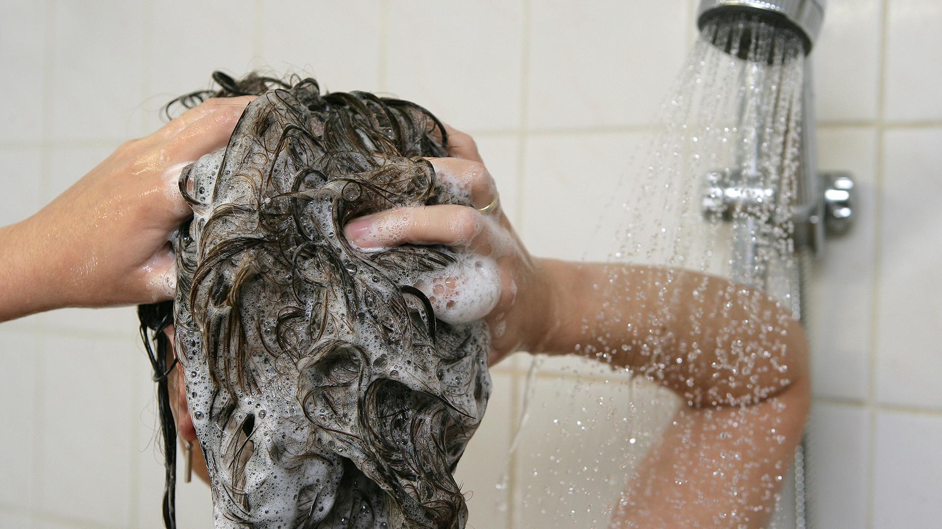 haare shampoo 100
