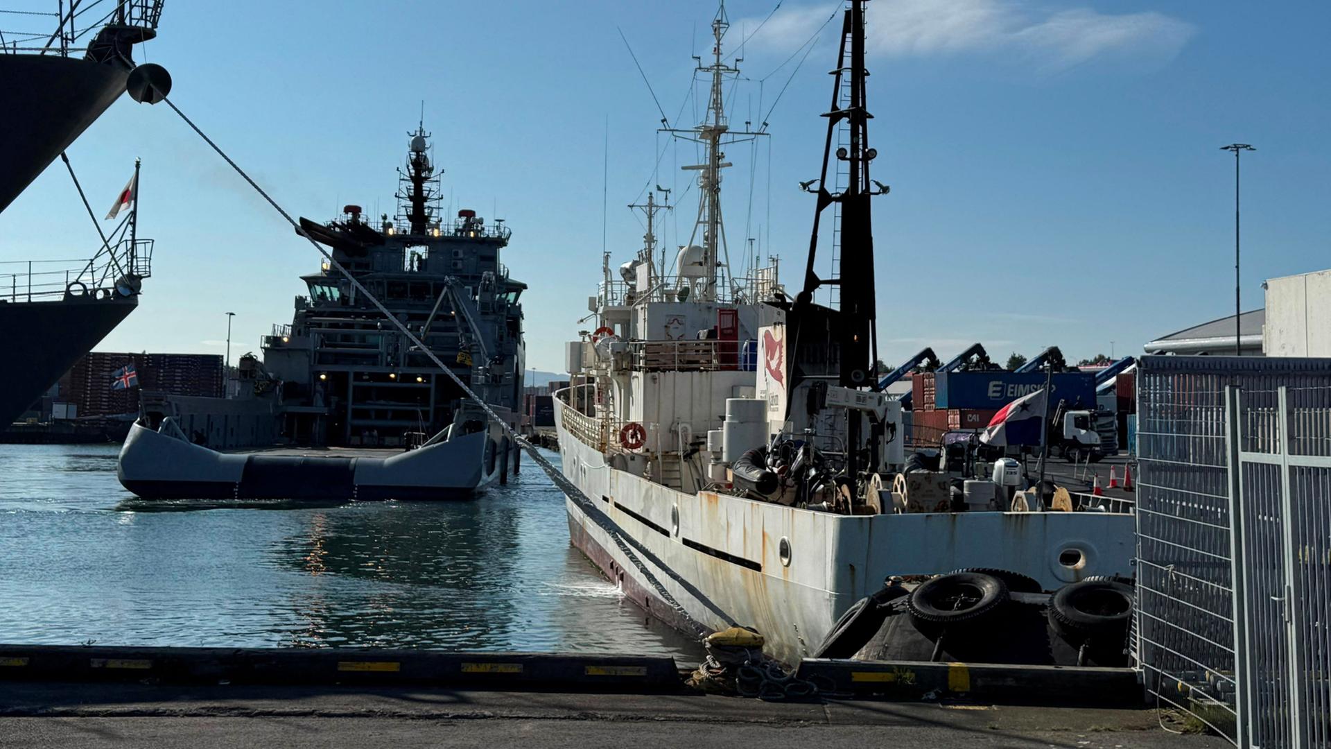 island walfang schiff 100