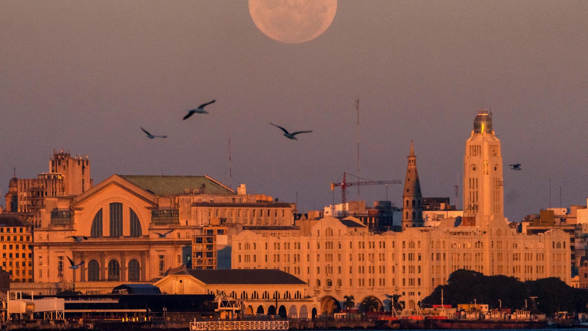 montevideo 108
