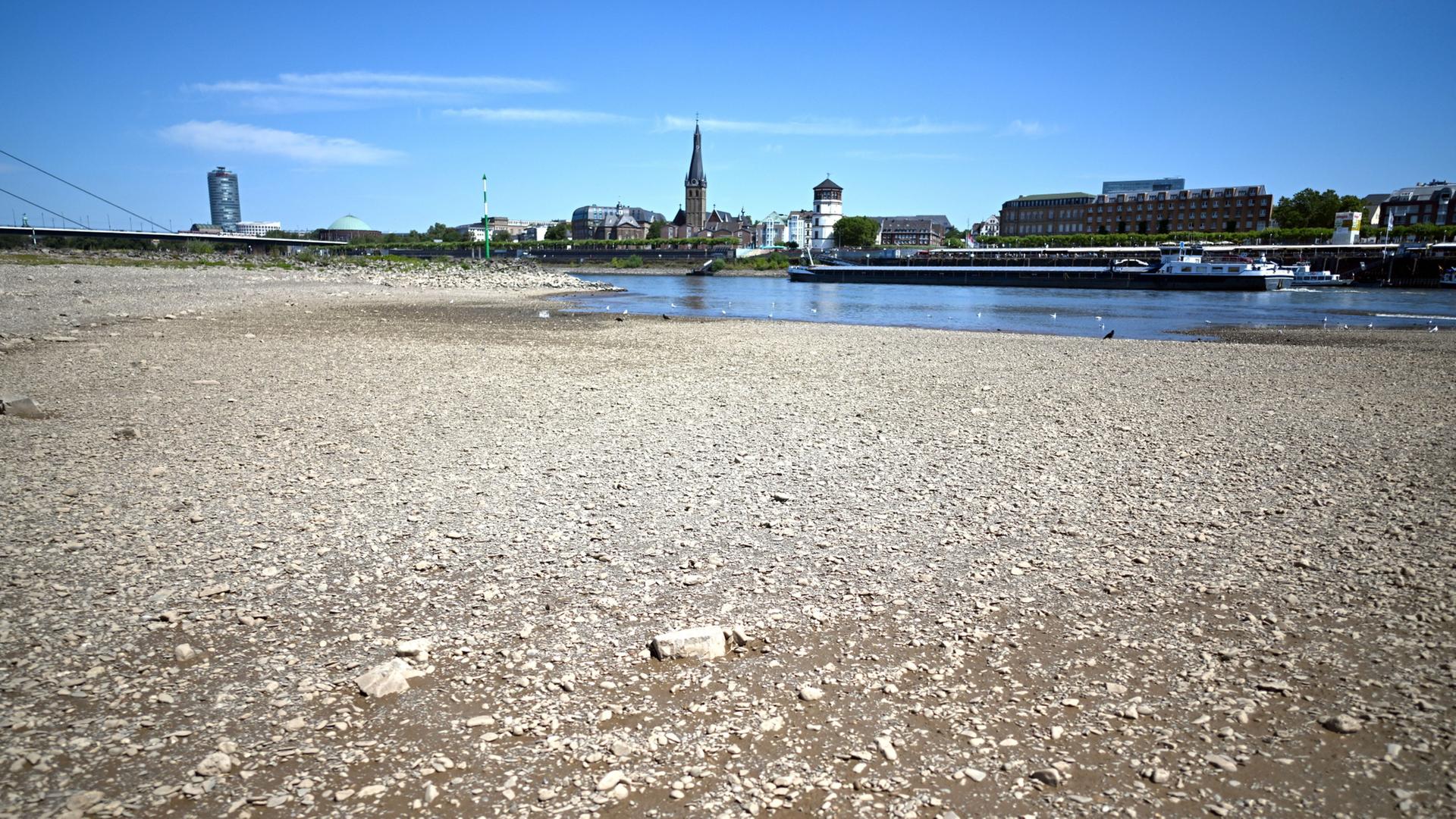 niedrigwasser rhein 106