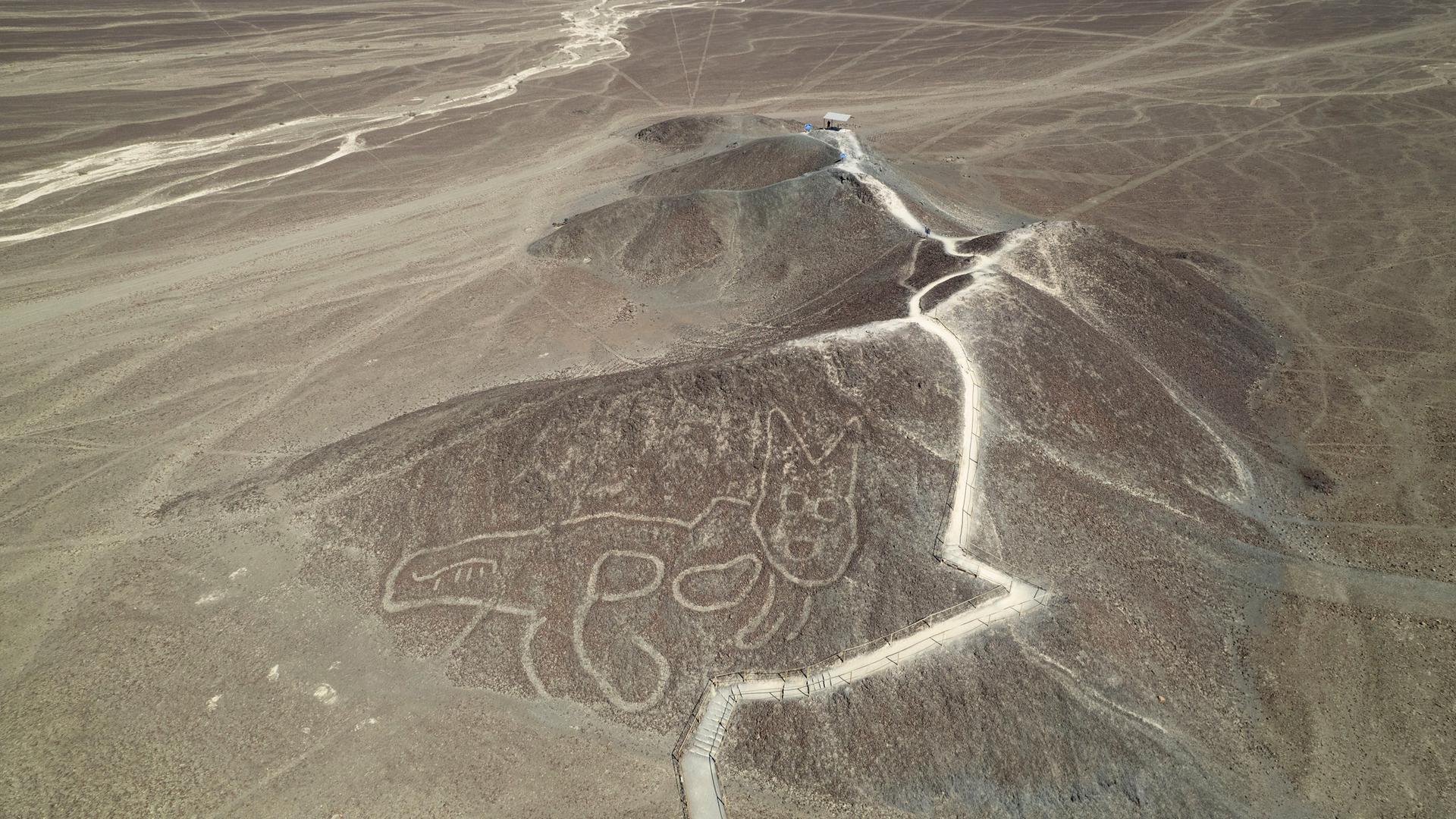peru nasca linien 100
