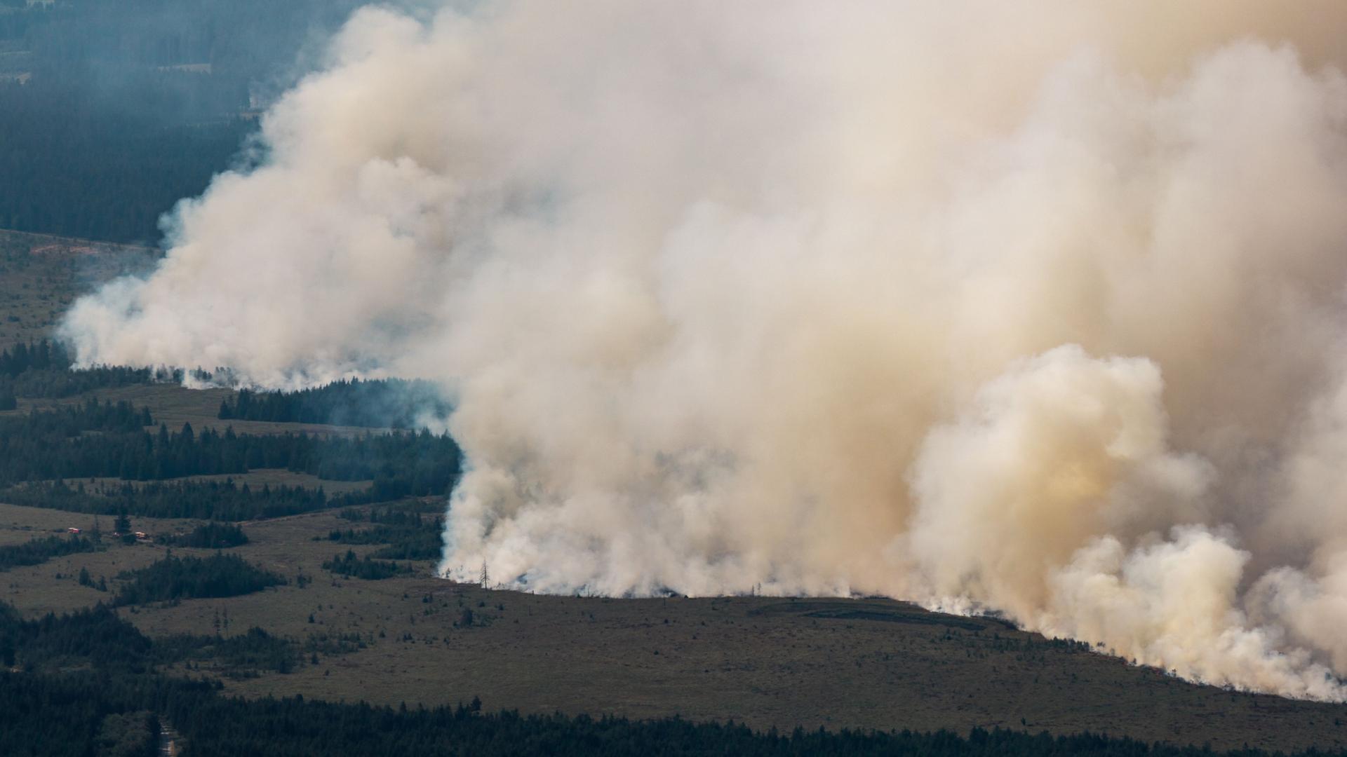 rauch waldbrand belgien 100