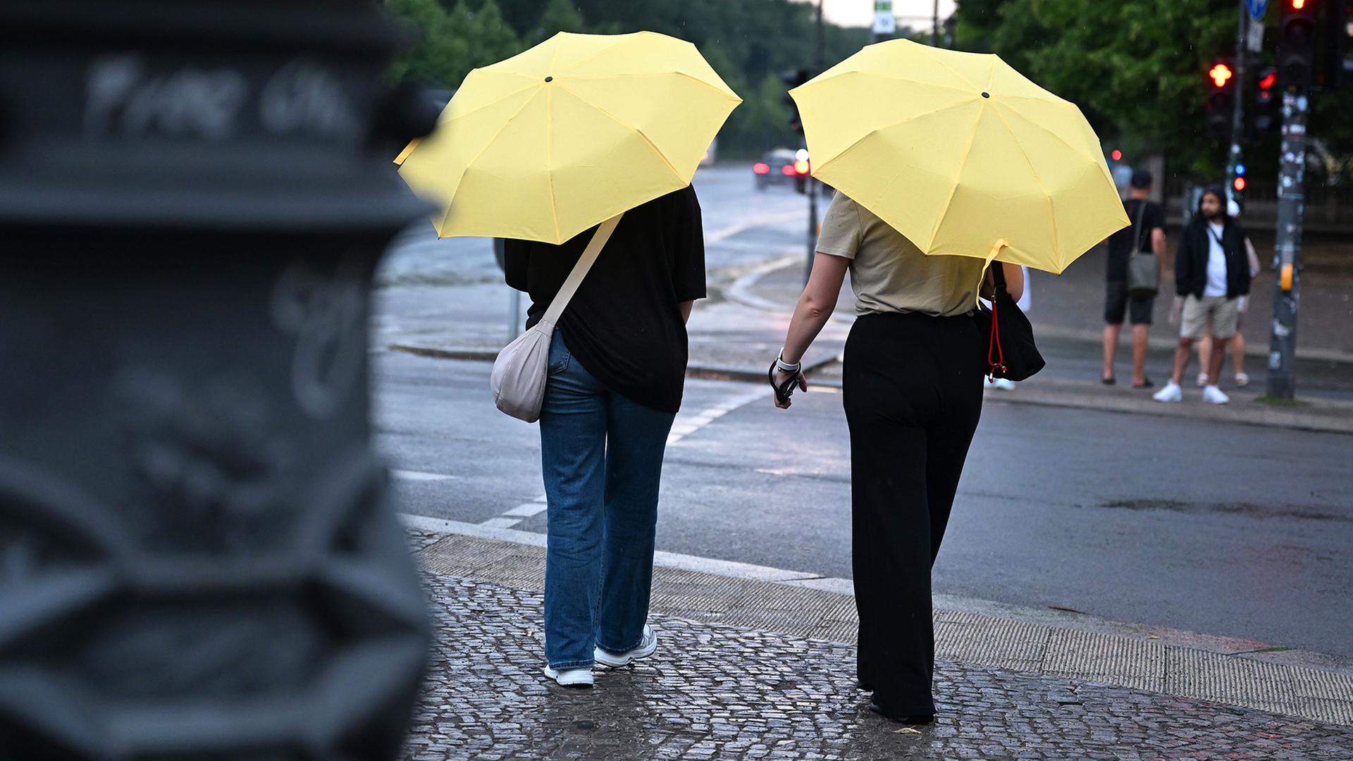 regenschirme ampel 100
