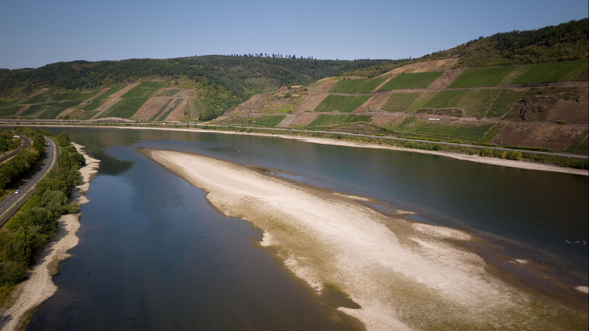 rhein 194