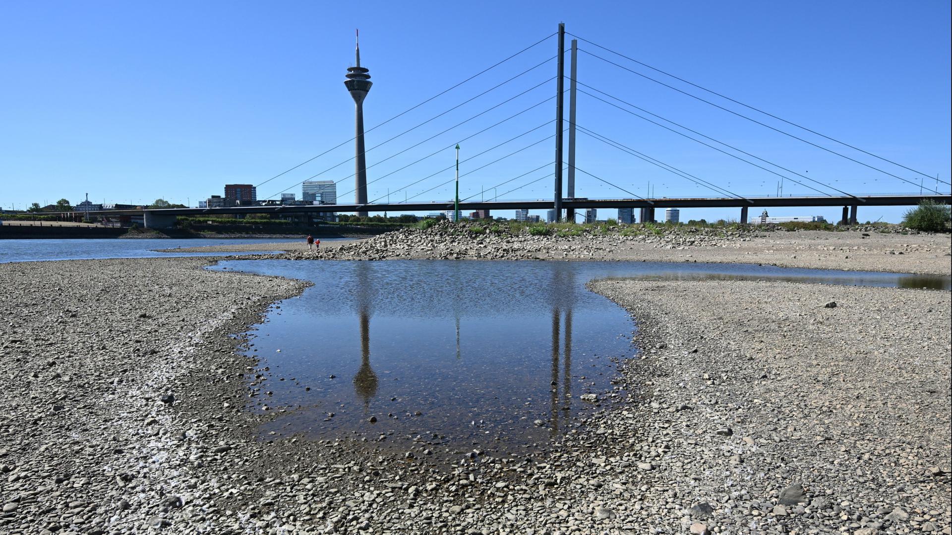 rhein 200
