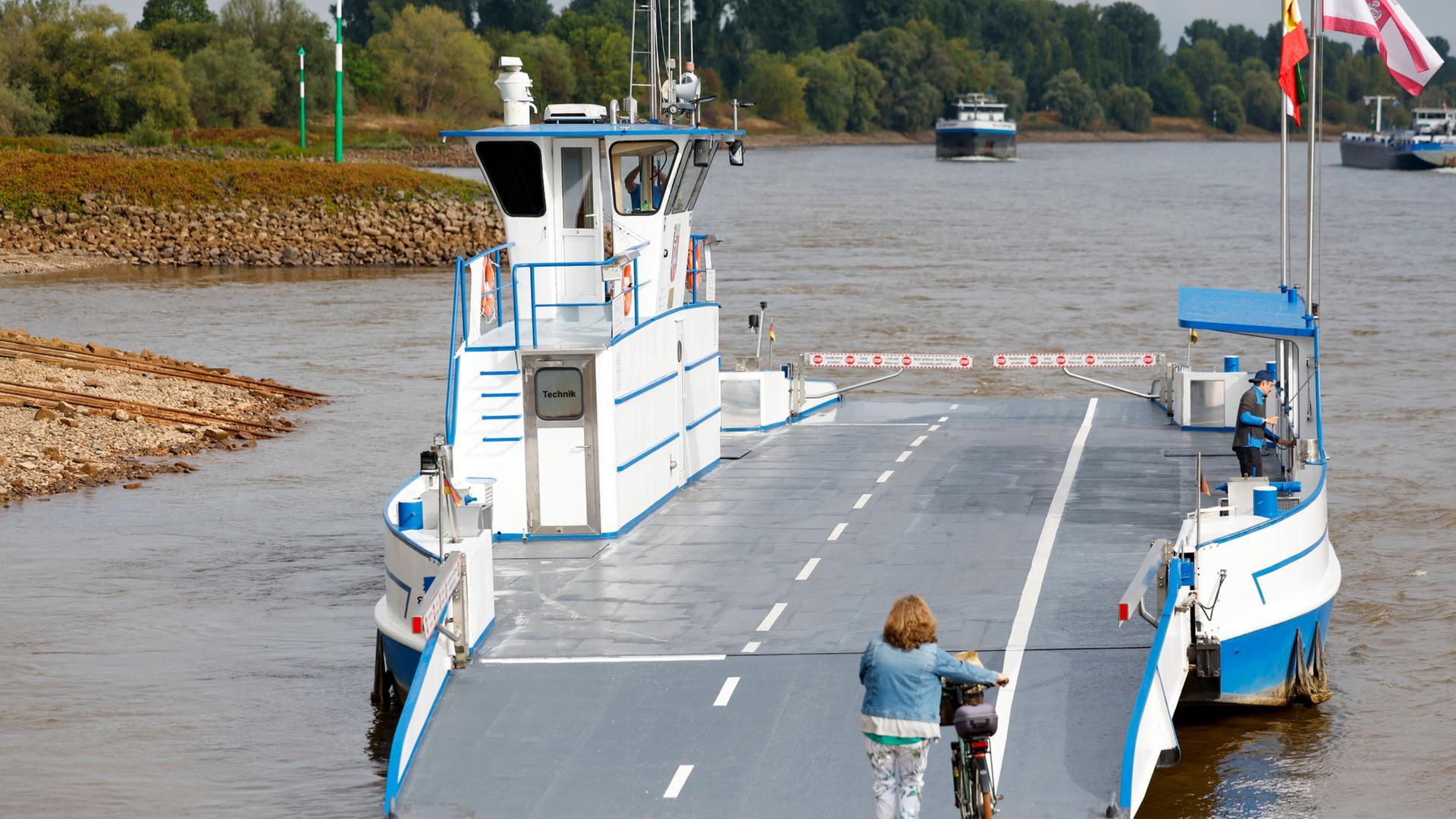 rhein faehre dormagen 100