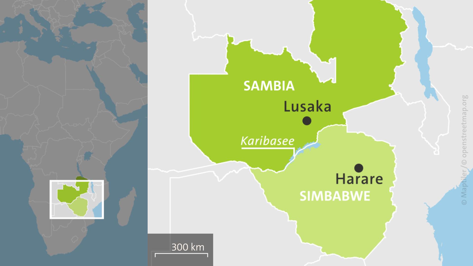 sambia simbawe karibasee 100