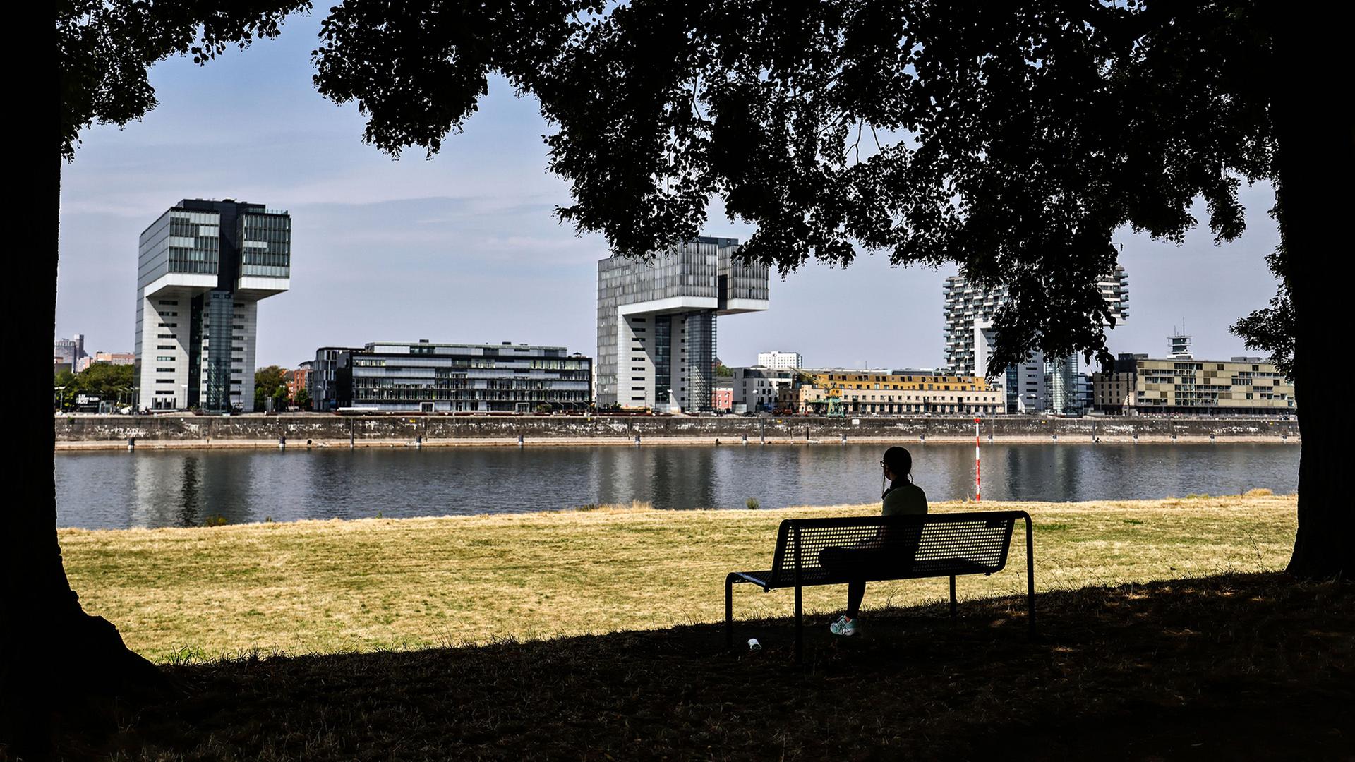 schatten parkbank 100