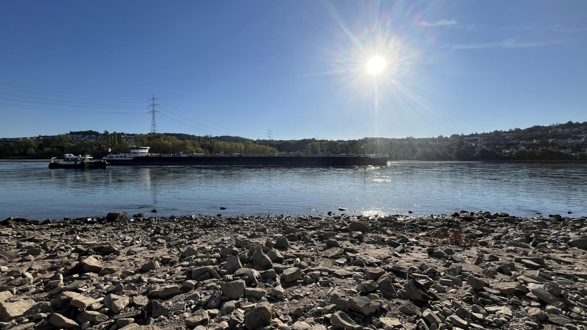 schiff rhein 100