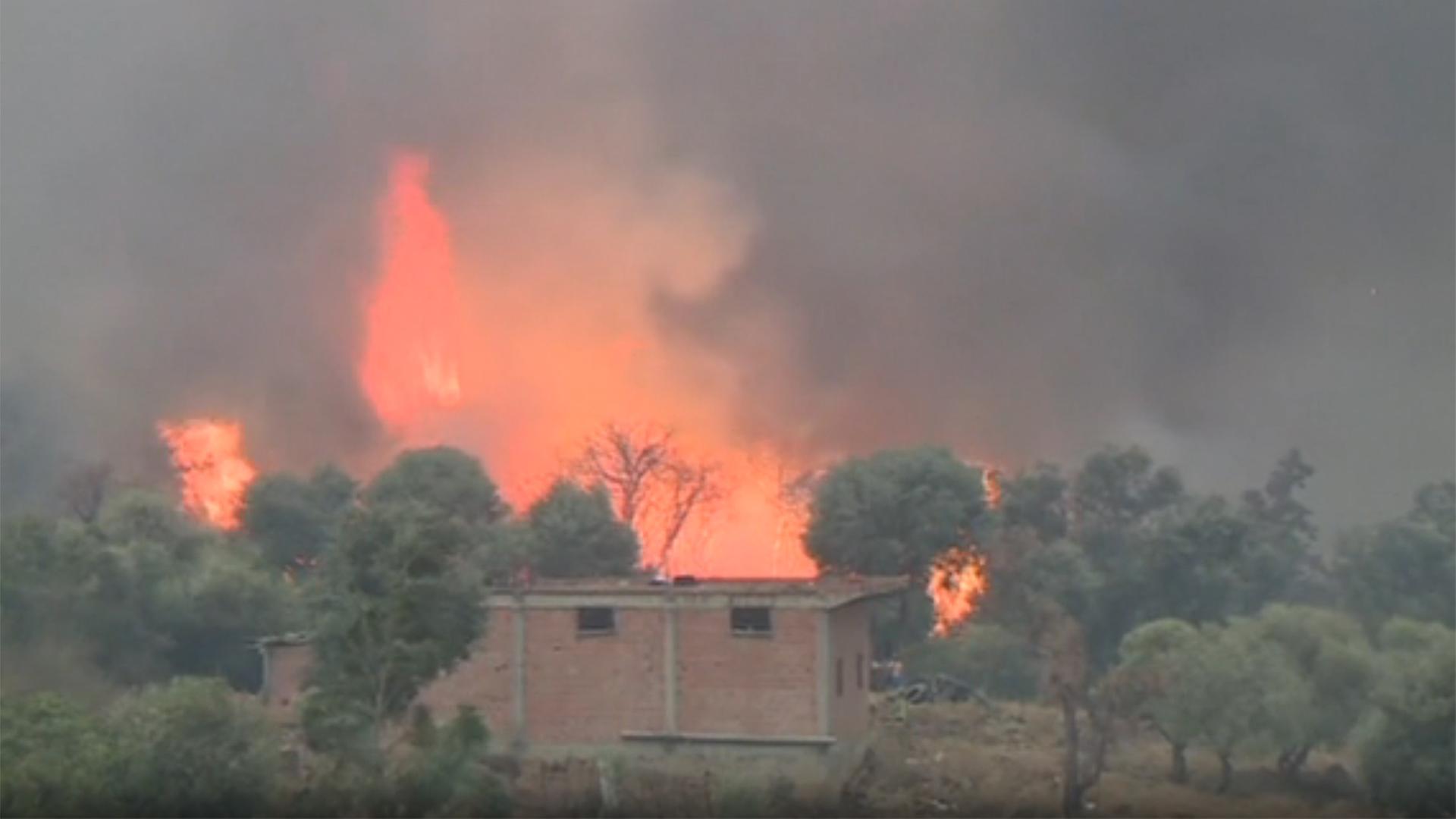 waldbrand algerien 102