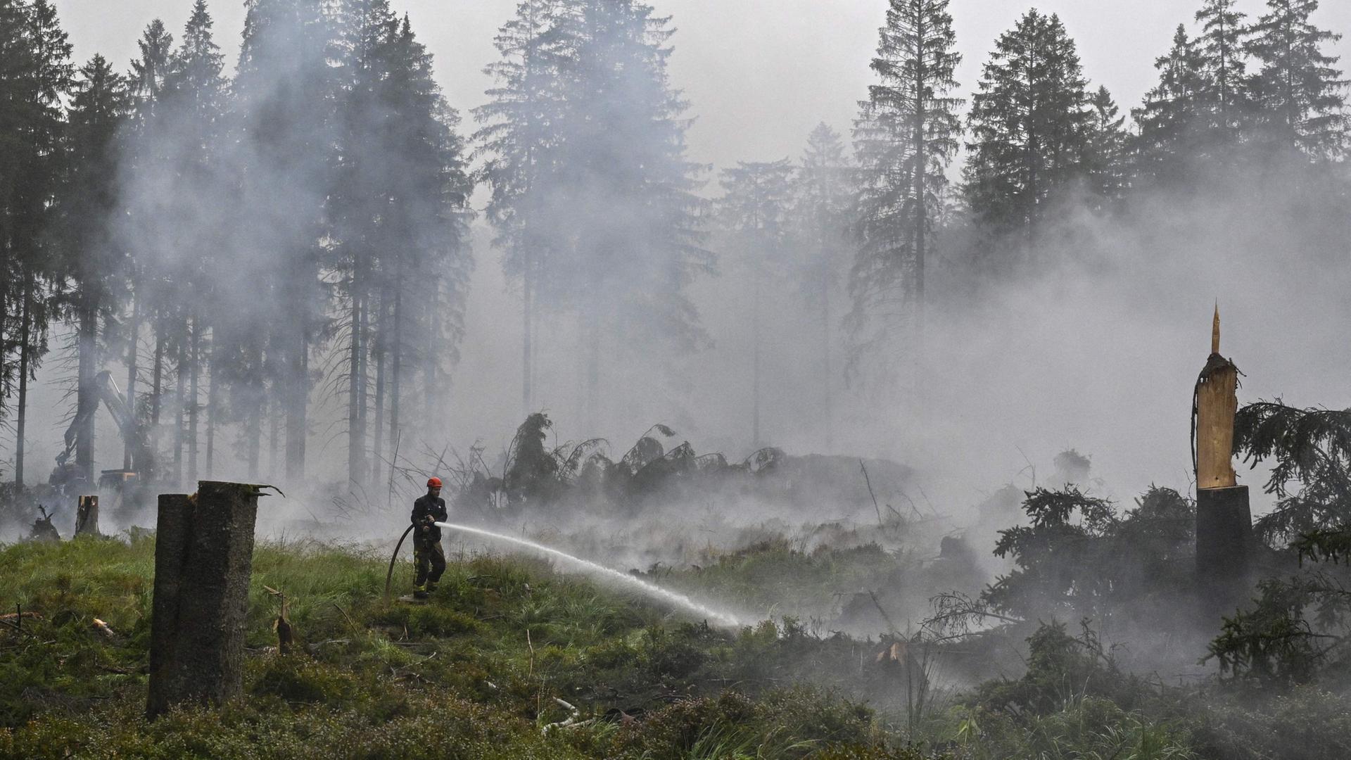 waldbrand belgien 106