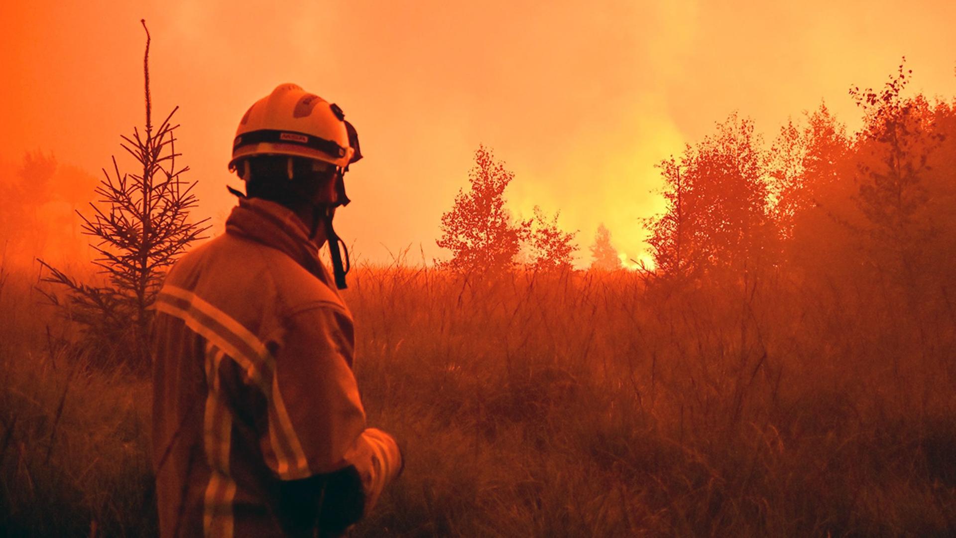 waldbrand belgien 110