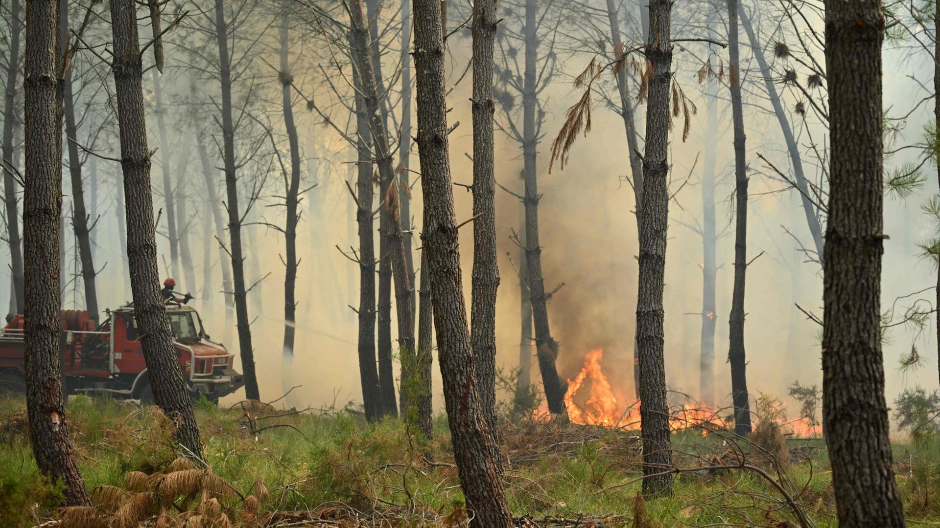 waldbrand frankreich 208