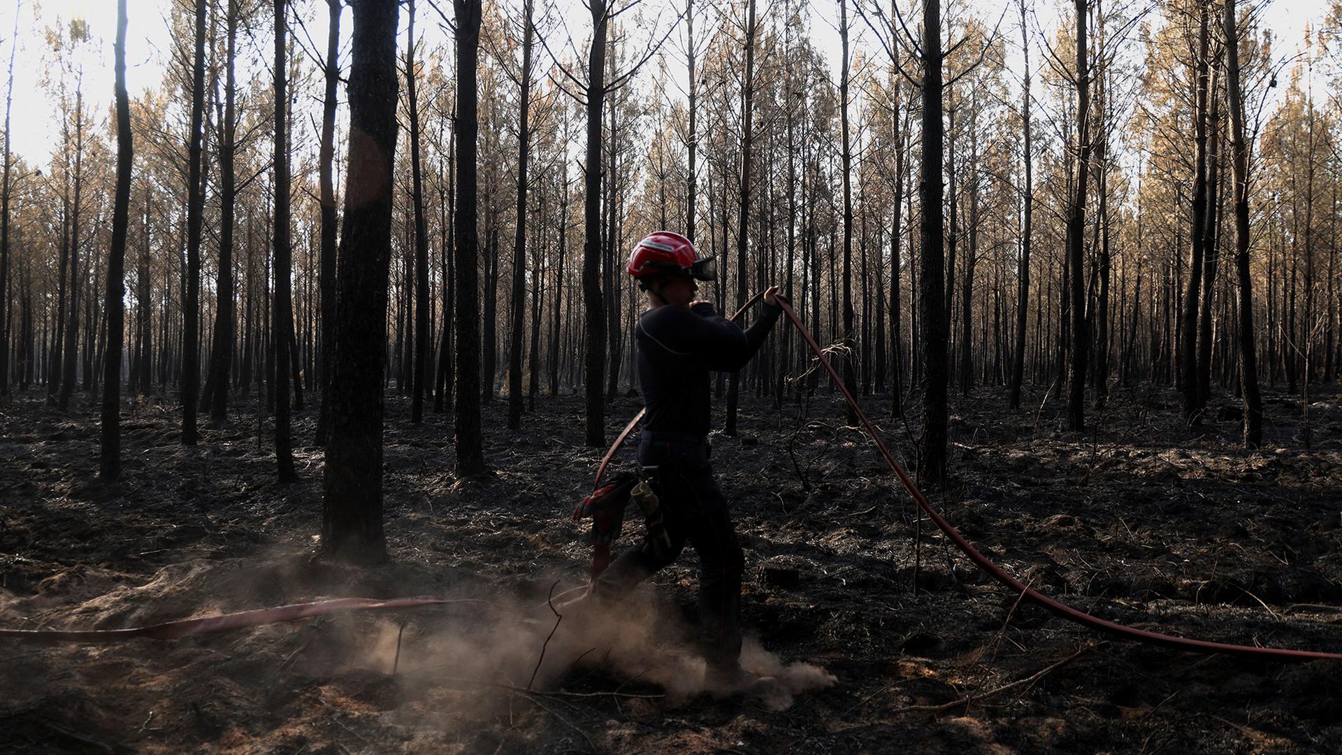 waldbrand geloescht frankreich gironde 100