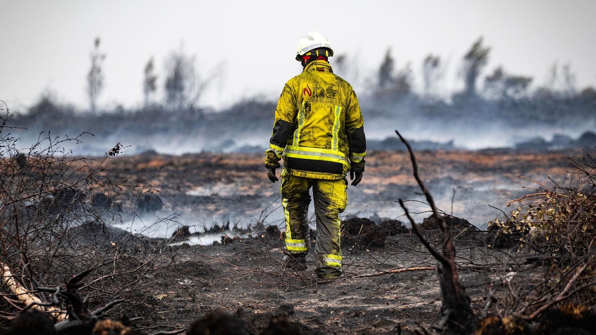waldbrand hohes venn 100