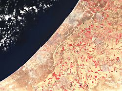 20260911 gazastreifen 2026 08 27 fc adj small