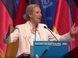 afd weidel