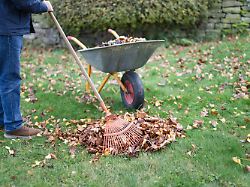 laub20im20garten