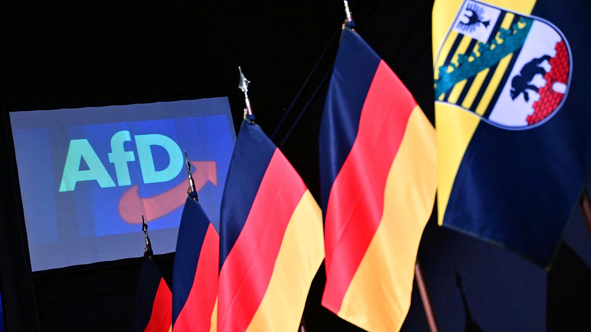 afd logo flaggen 100