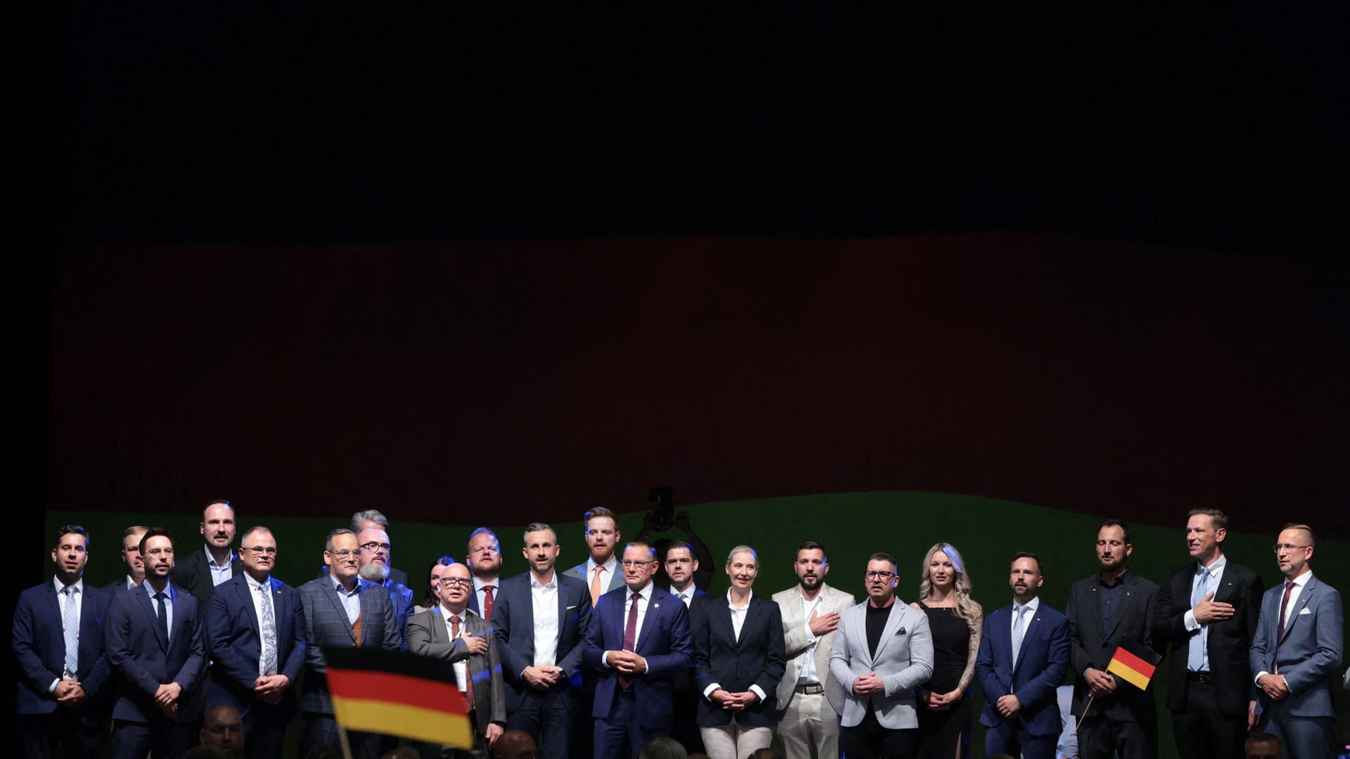 afd sachsen anhalt 148