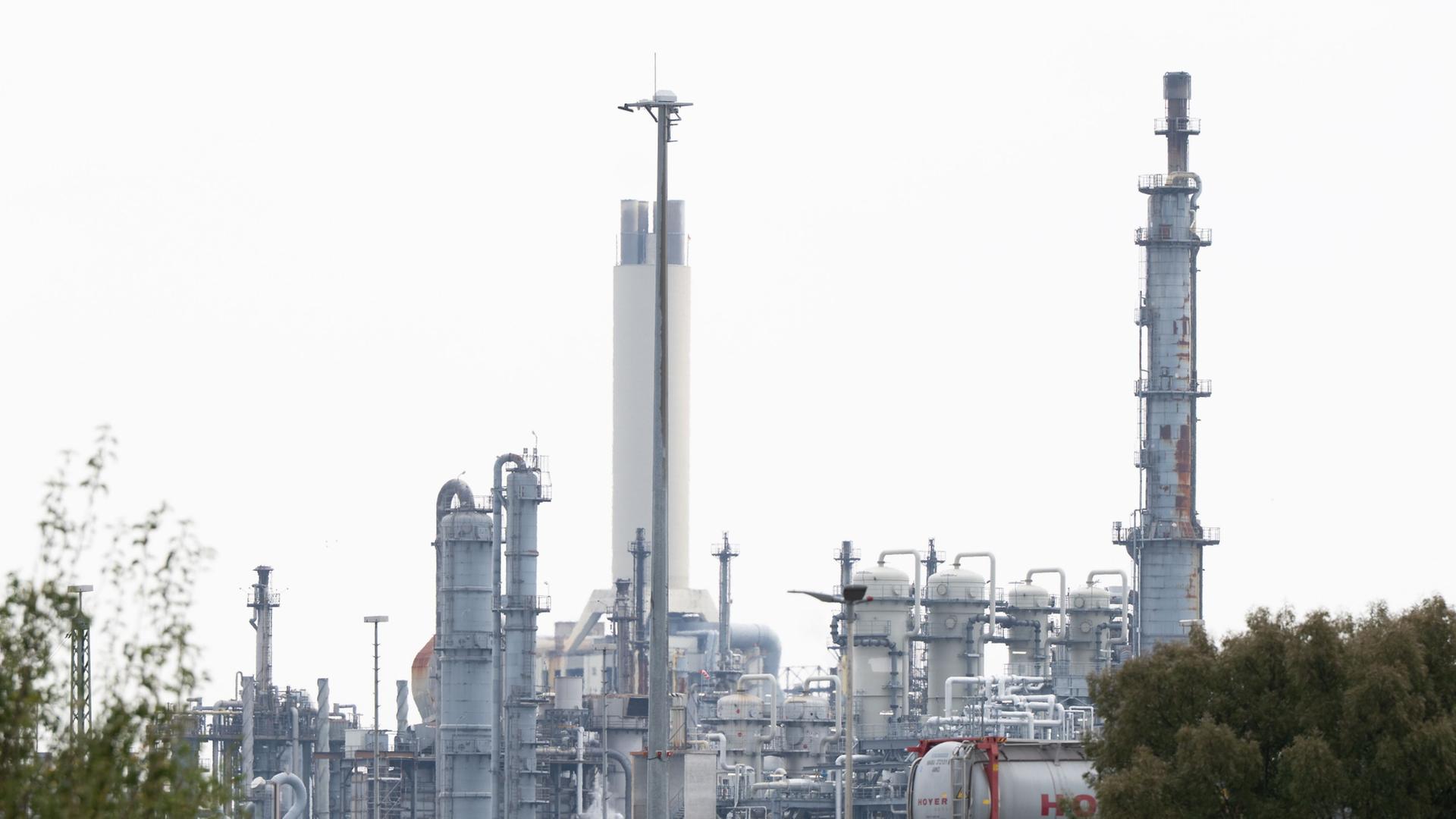 basf 176