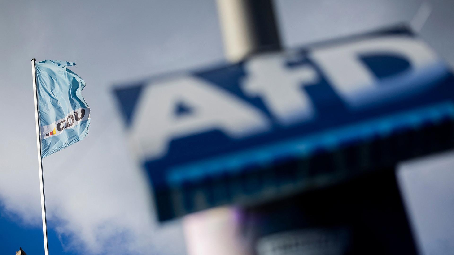 flagge cdu wahlplakat afd 100
