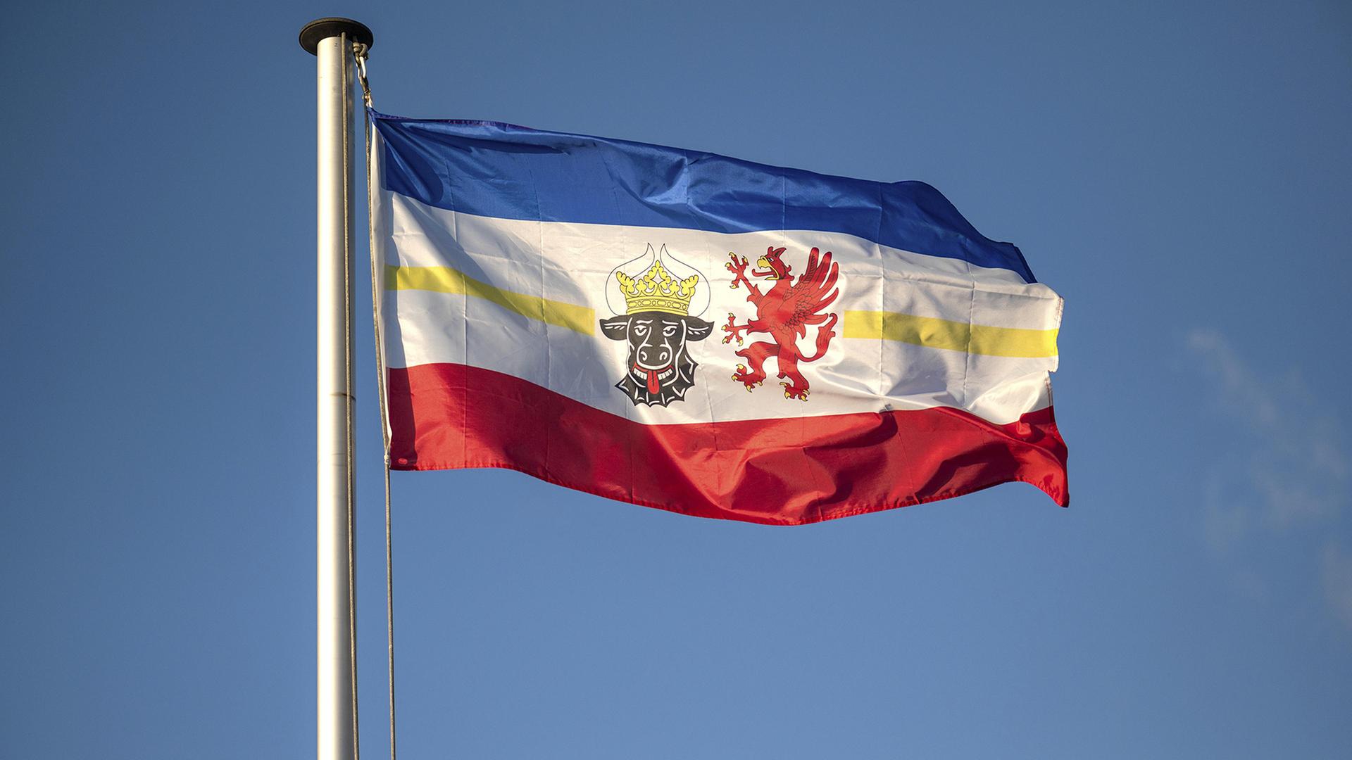 flagge mecklenburg vorpommern 100