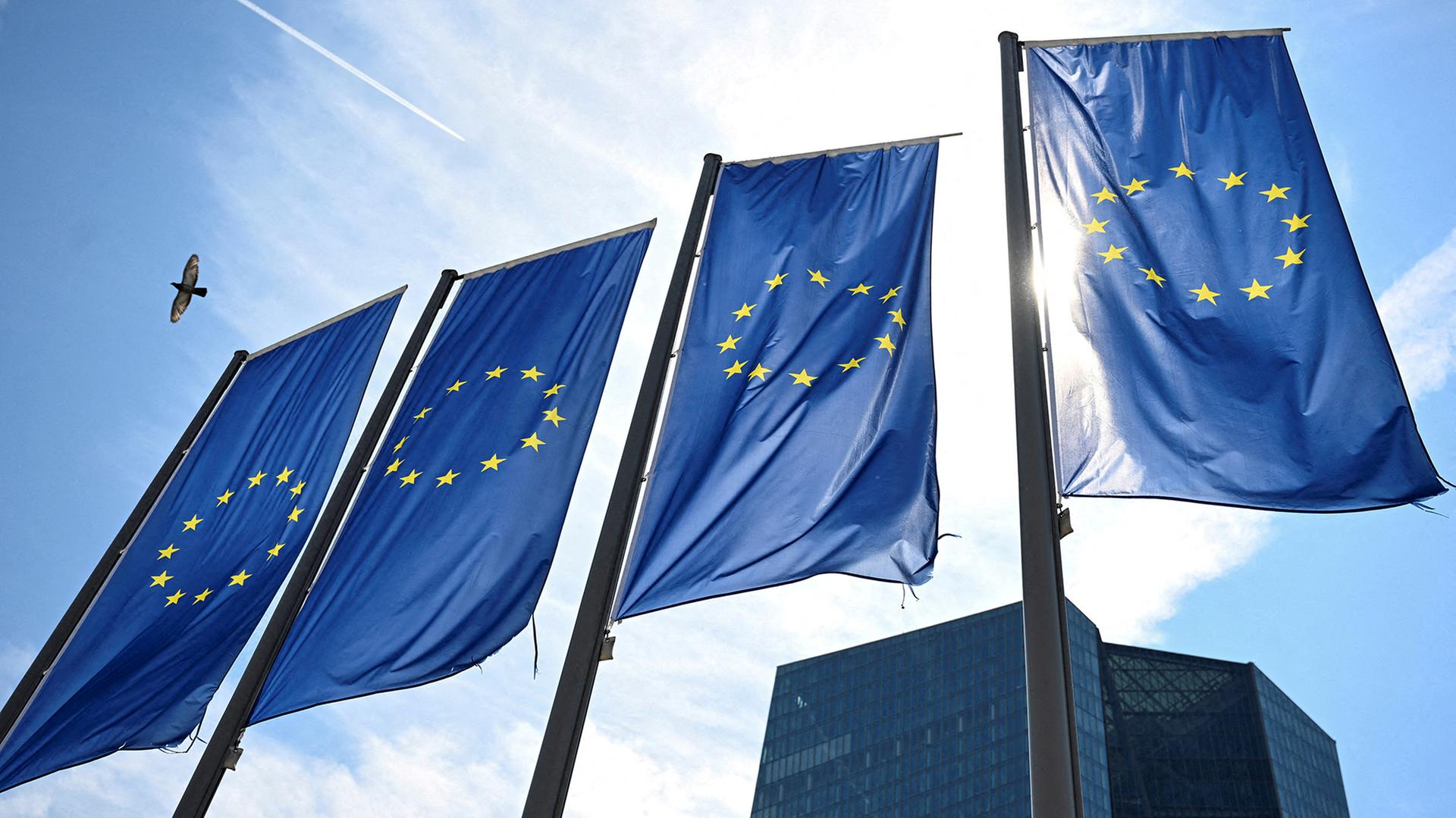 flaggen eu 116
