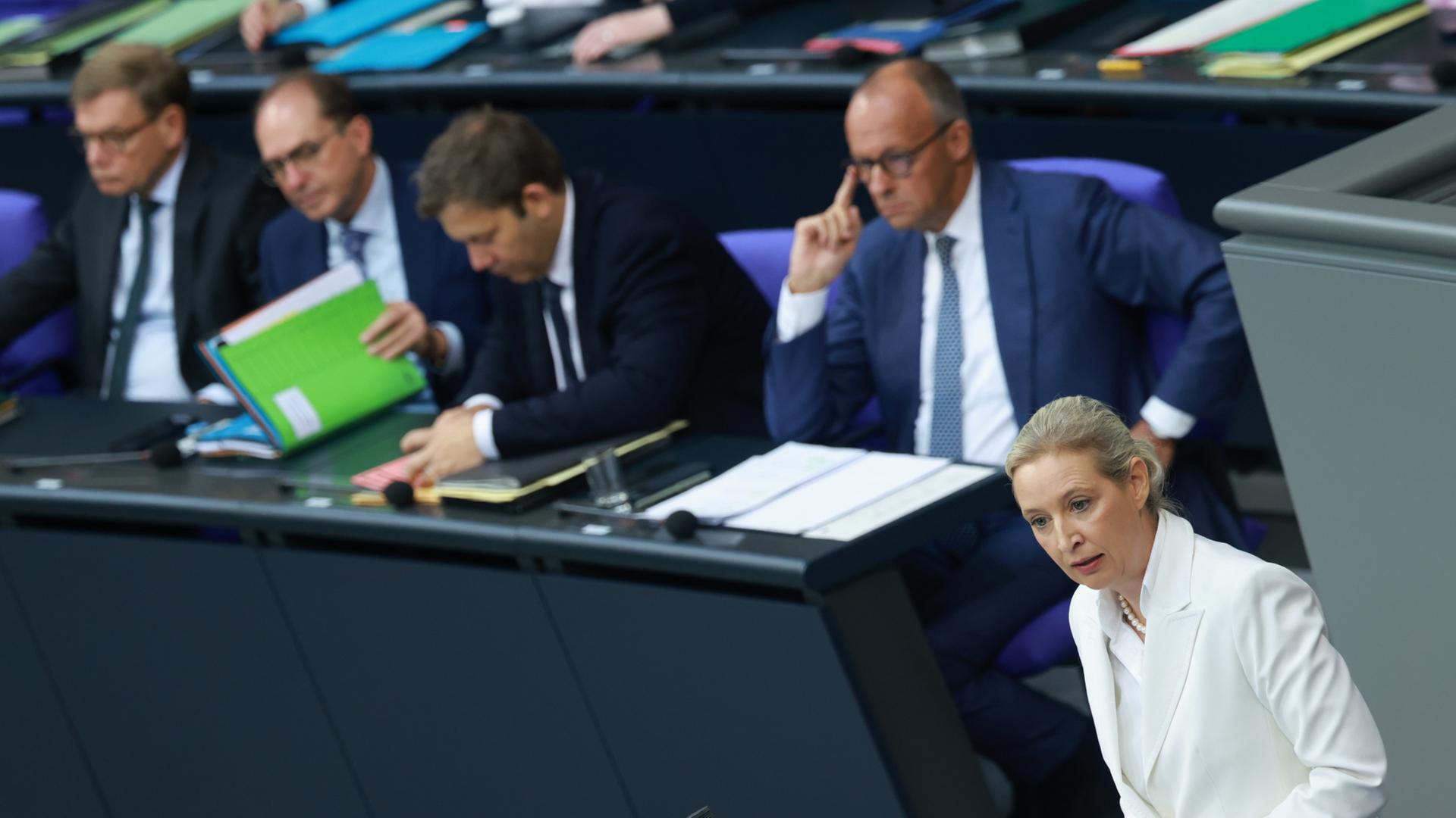 merz weidel 112