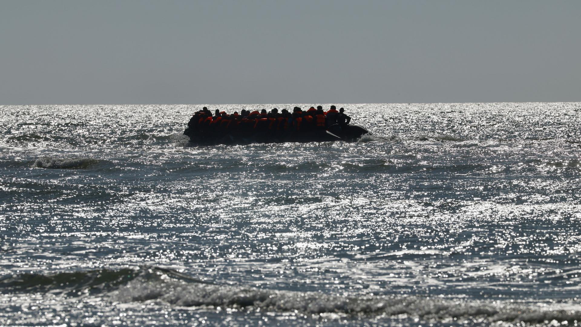 migration 206