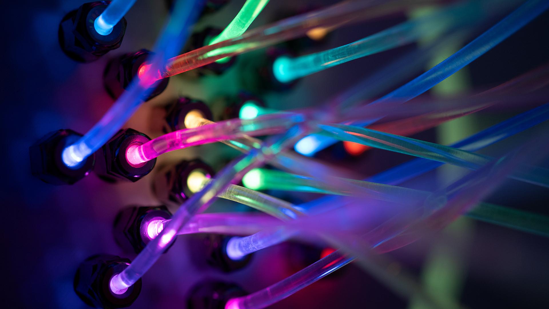 modell neuronales netzwerk 100