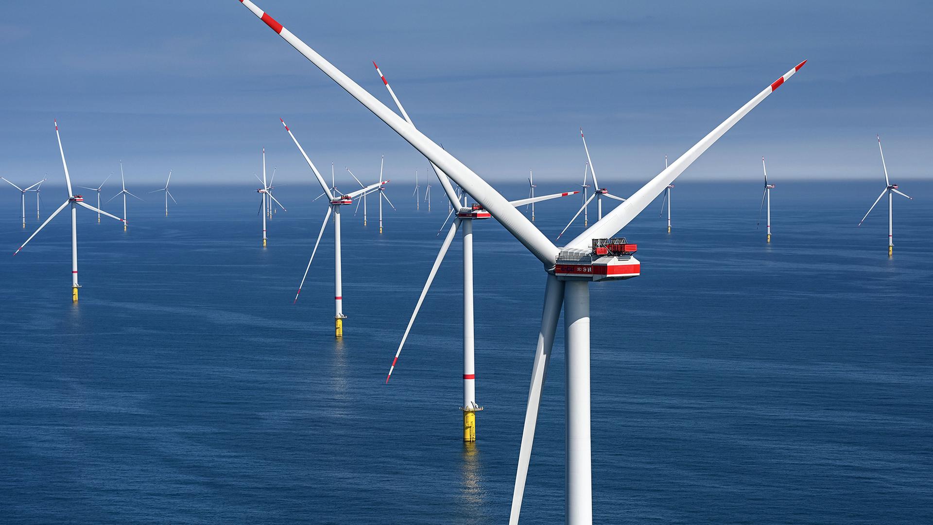 offshore windpark 124