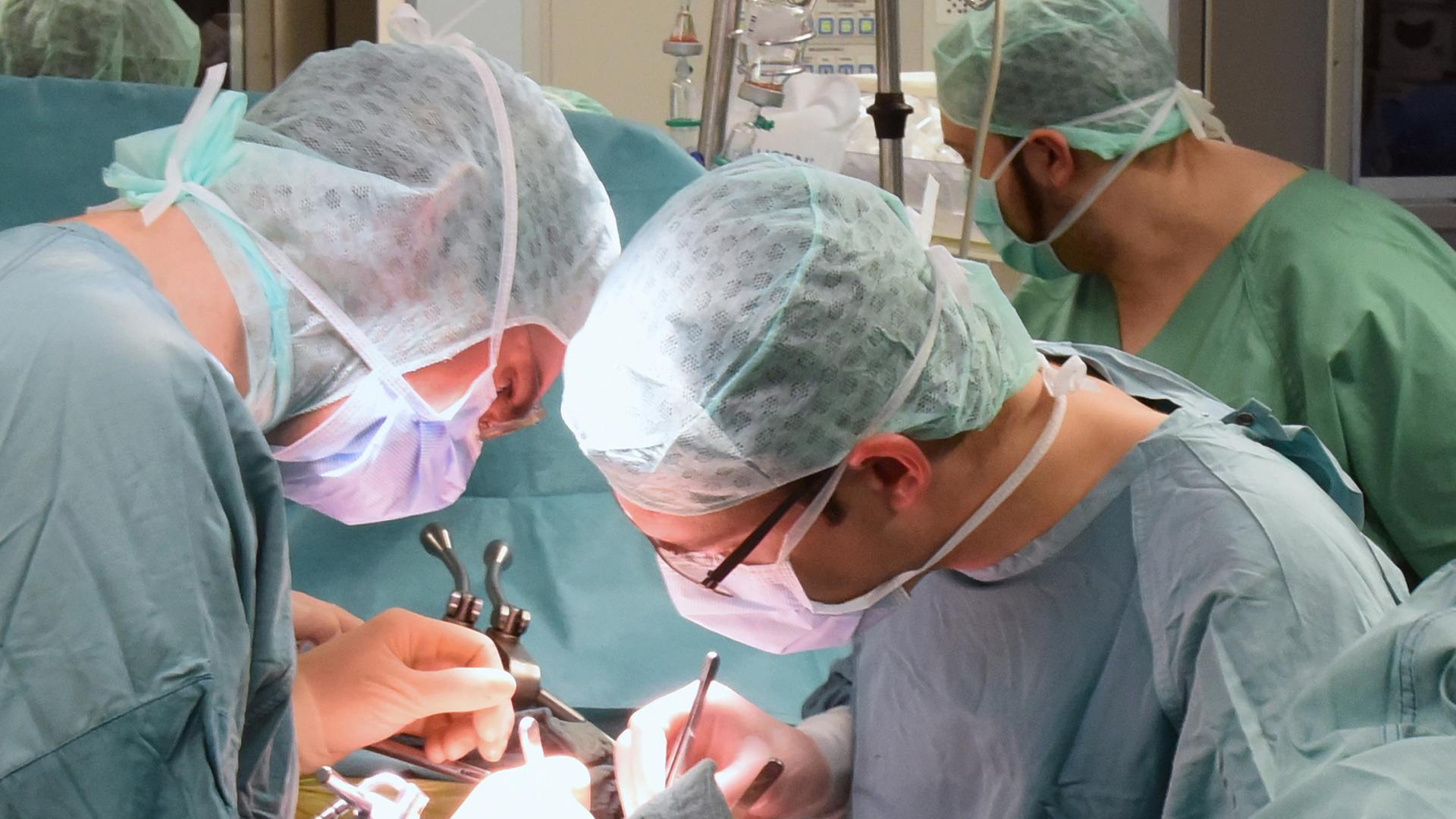 organspende 224