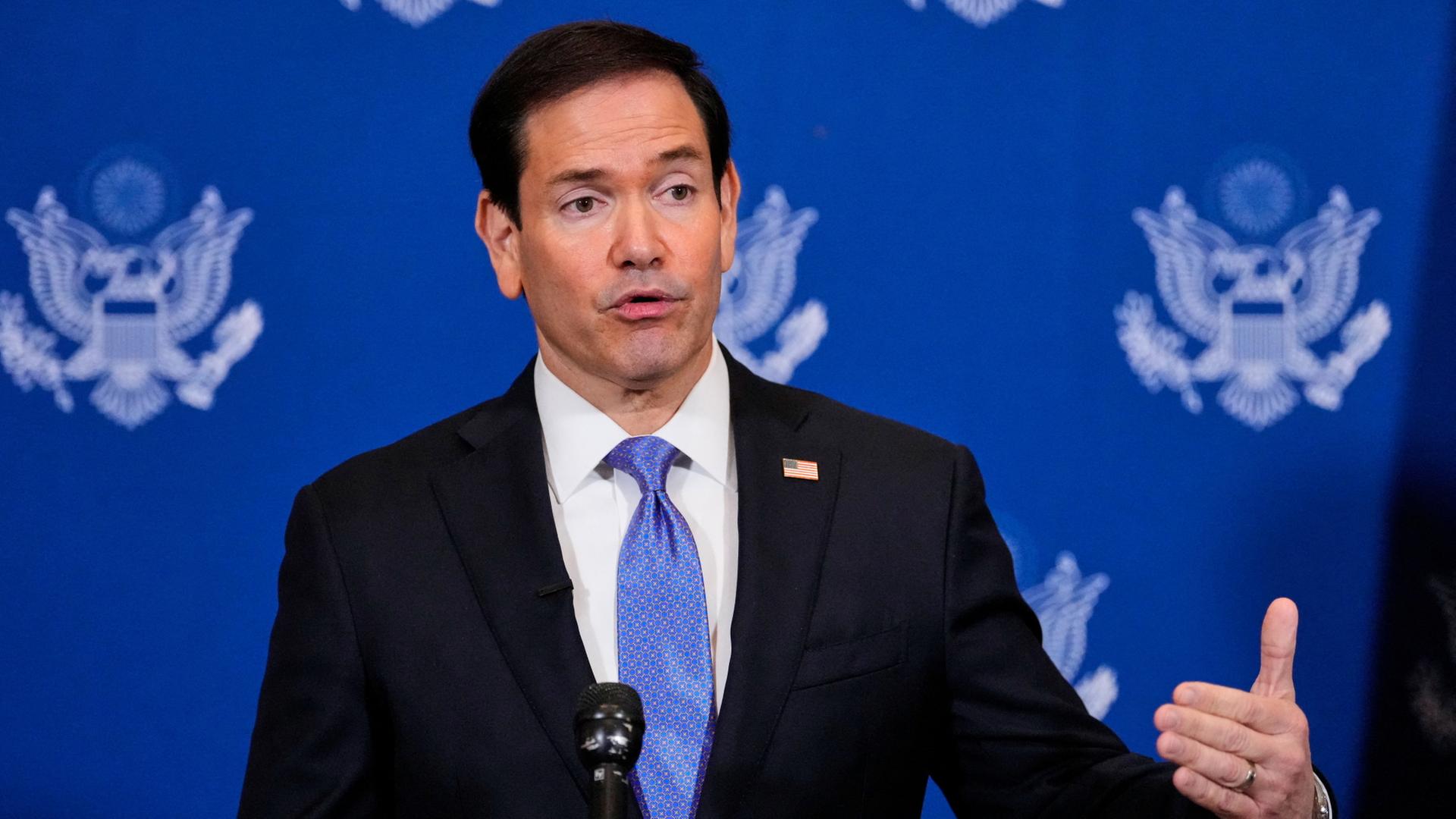 rubio 208