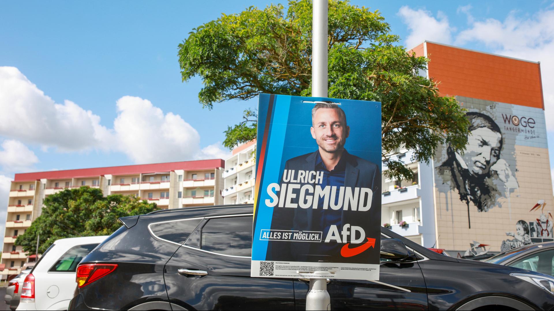 wahlplakat siegmund 100
