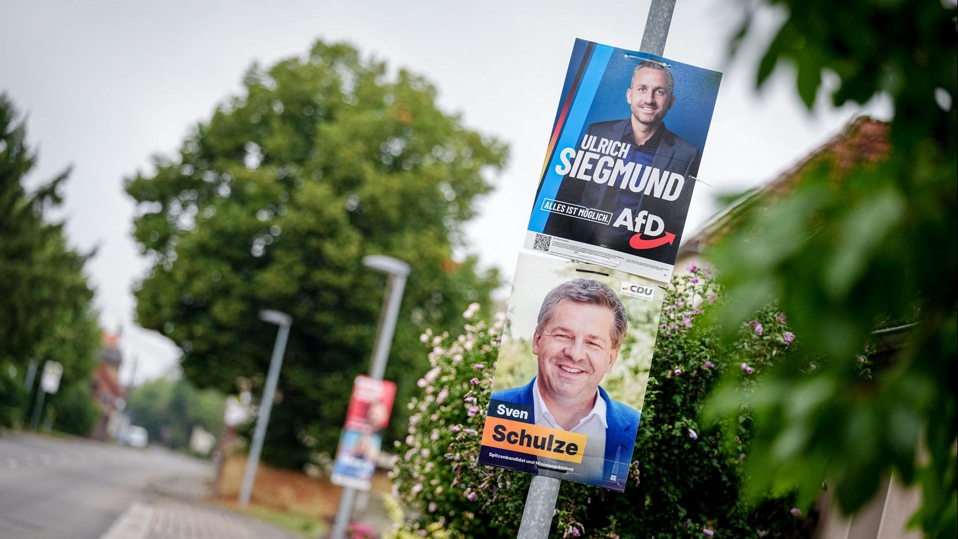 wahlplakate 238 1