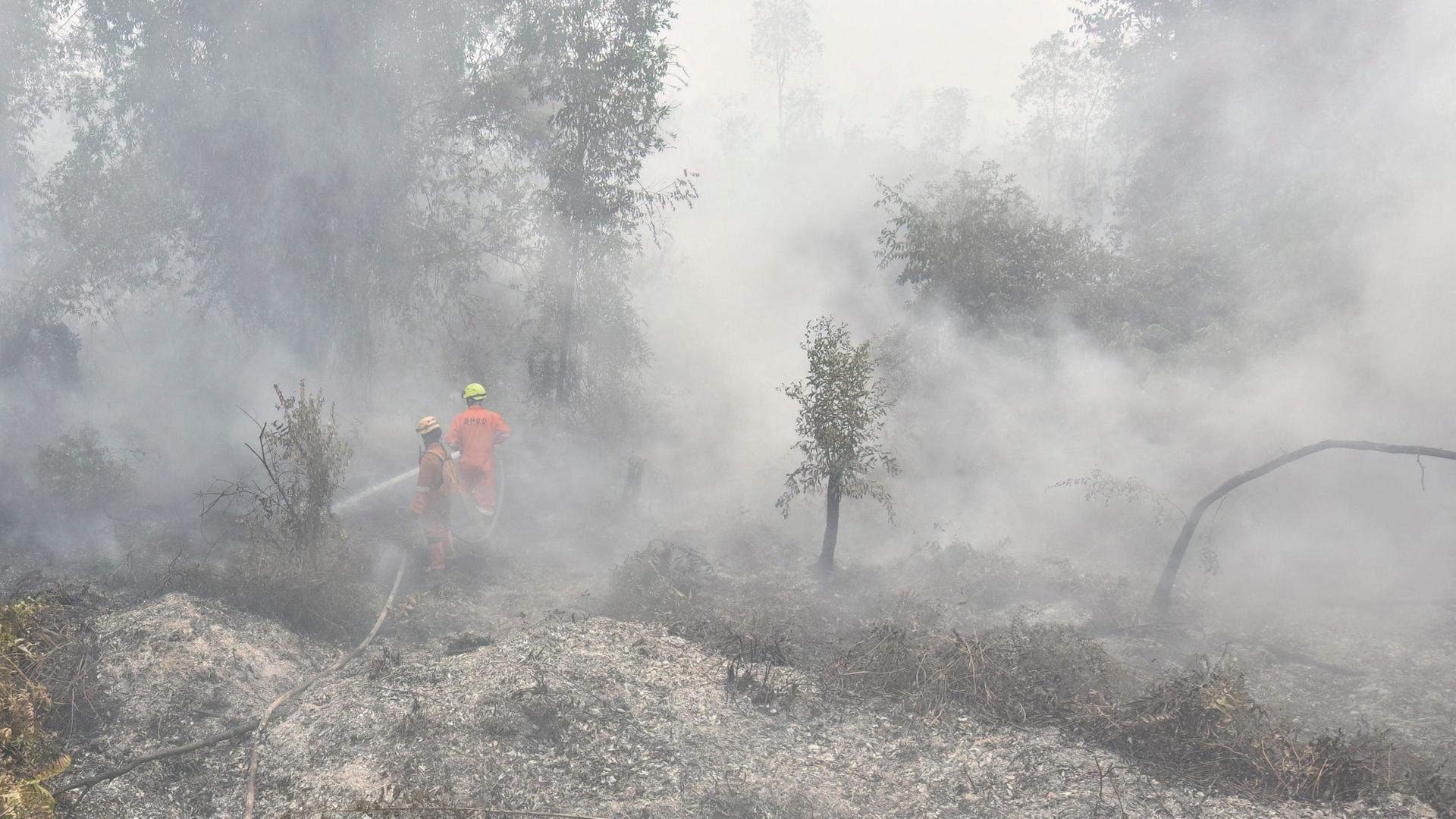 waldbrand indonesien 102