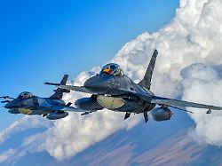 421634428