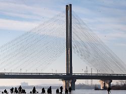 54989601