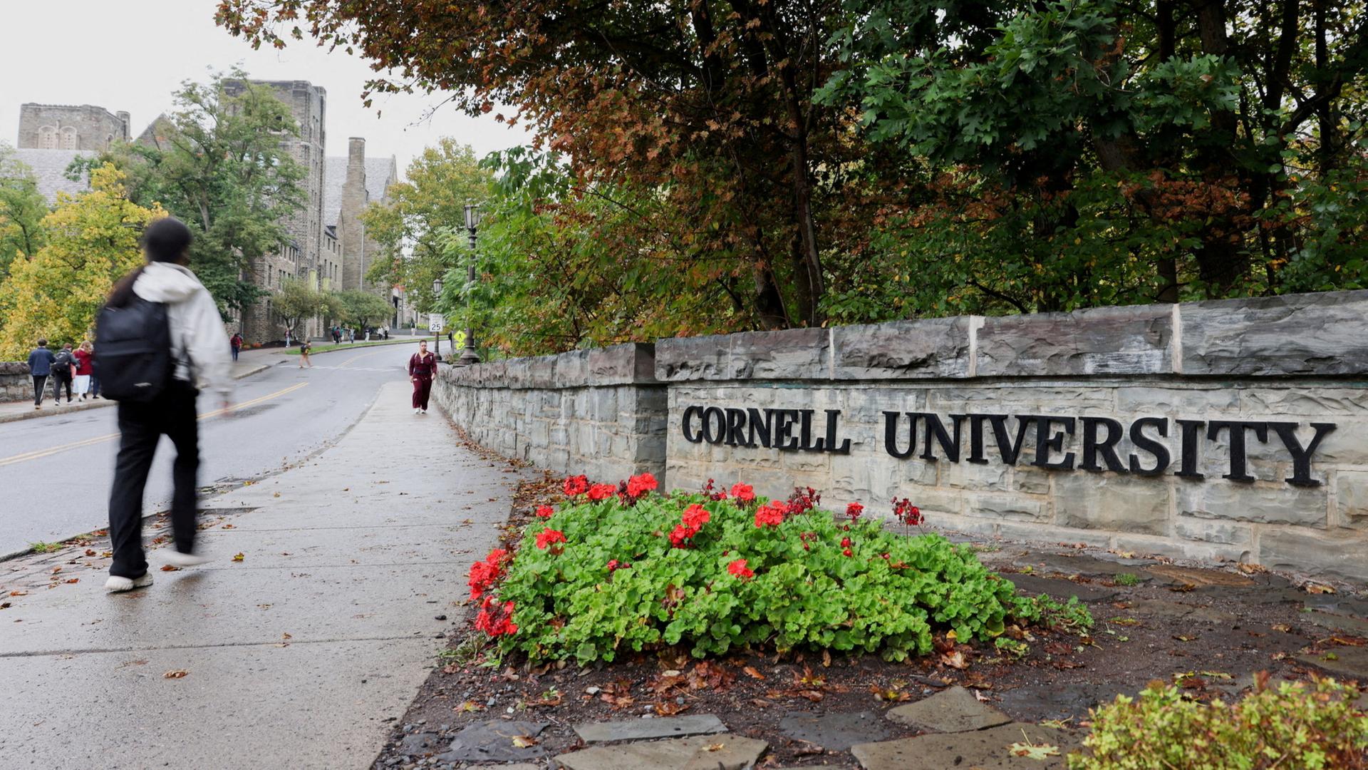 cornell universitaet 102