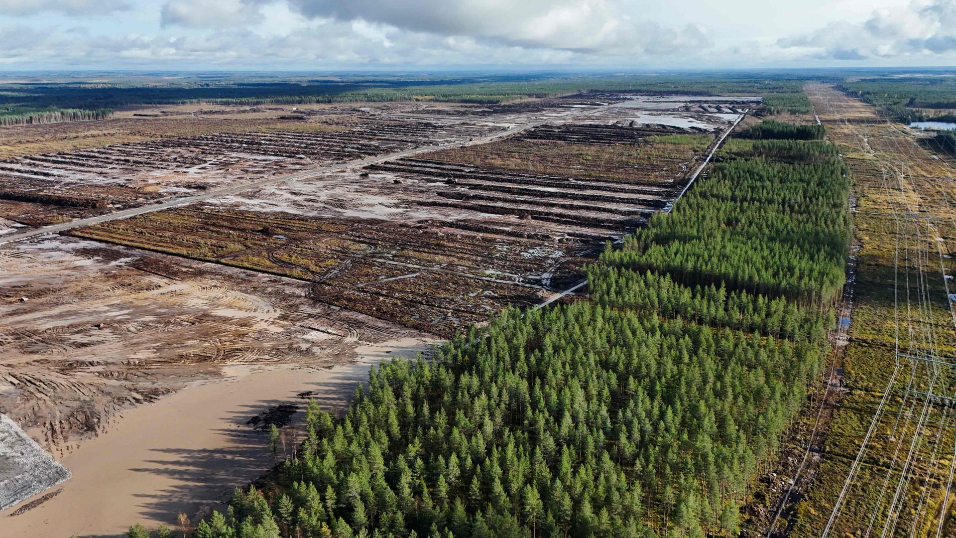finnland google muhos 100